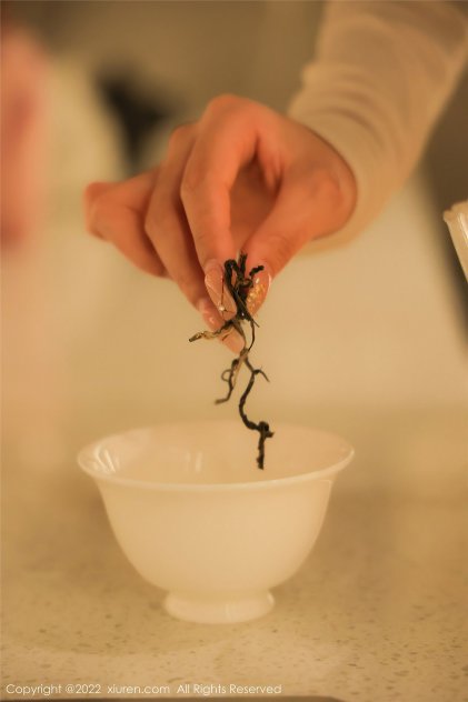 欧美a欧美在线